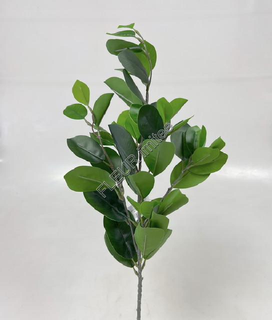 Větev fikus 60cm 24/144