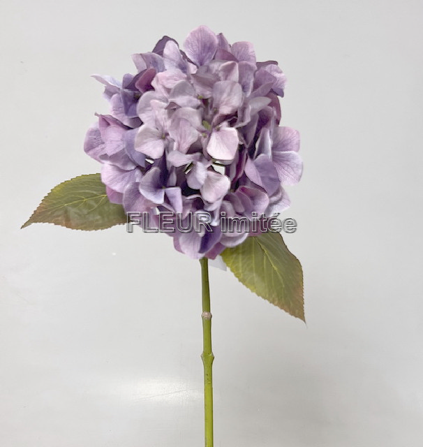 Hortenzie x1 71cm 12/72