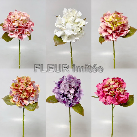 Hortenzie x1 71cm 12/72