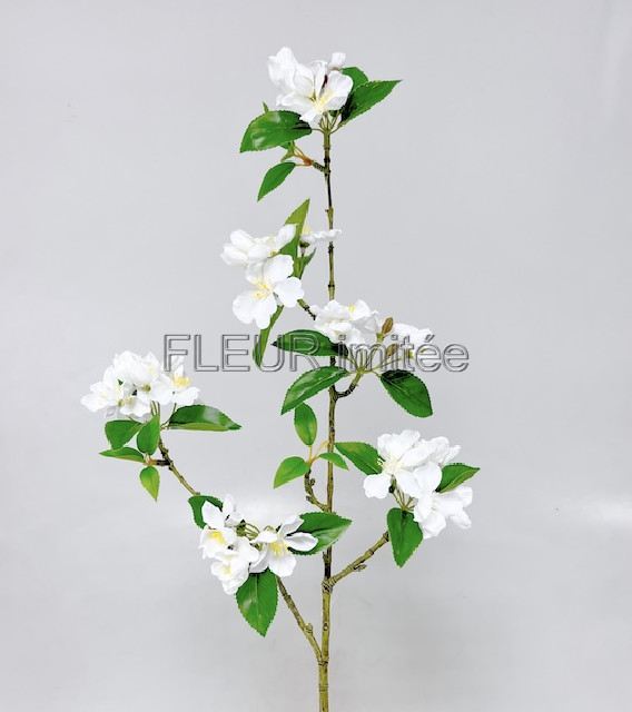 Jabloňový květ 90cm 12/96