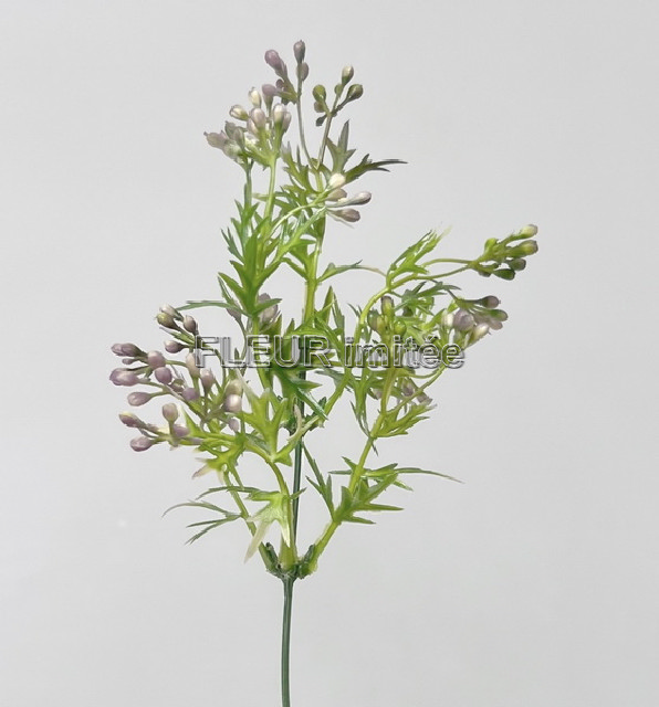 Bobulky záp. 48cm 12/144