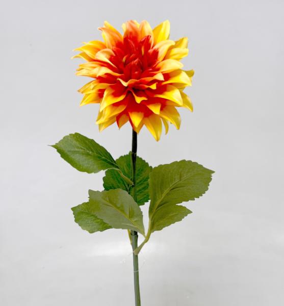 Jiřina x1 70cm 24/192