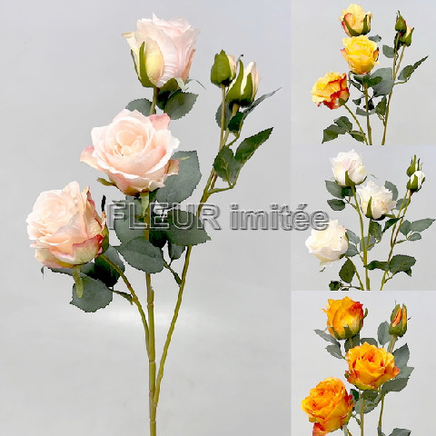 Růže x5 65cm 24/240