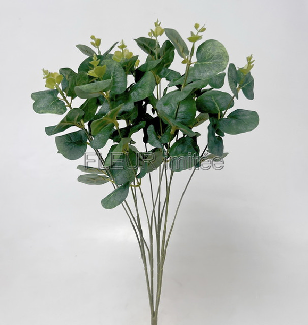 Eukalypt x4 52cm 1/48