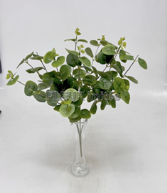 Eukalypt x4 52cm 1/48