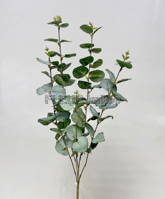 Eukalypt x5 89cm 1/48