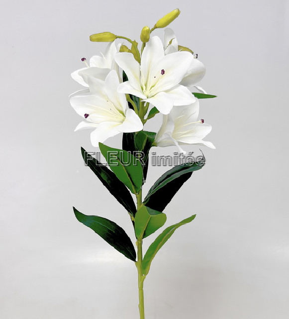 Lilie x5 75cm 18/72