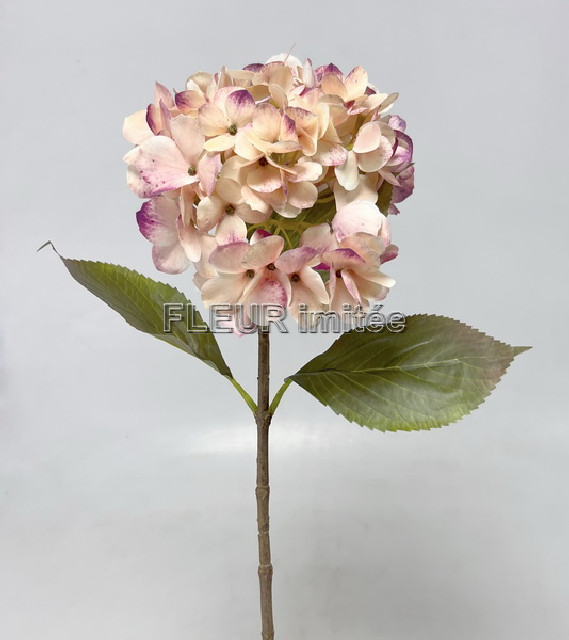 Hortenzie 68cm 12/96