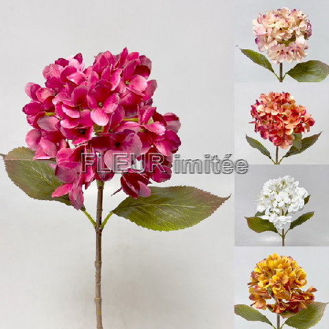 Hortenzie 68cm 12/96