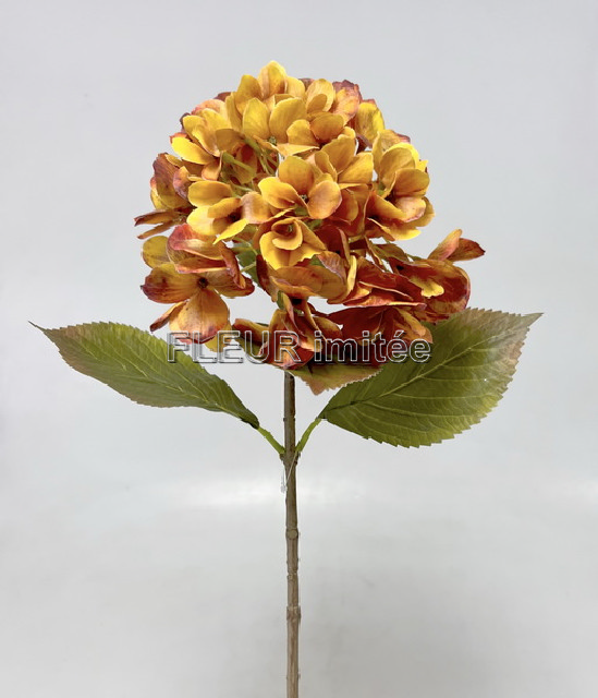 Hortenzie 68cm 12/96