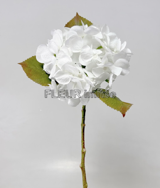 Hortenzie x1 48cm 24/192