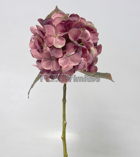 Hortenzie x1 48cm 24/192