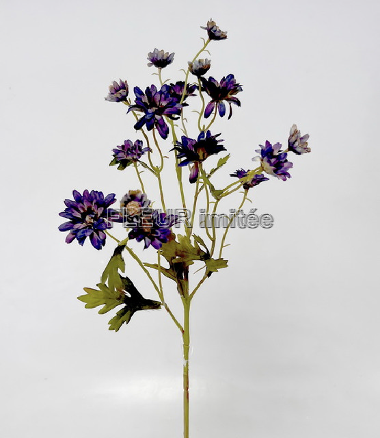 Chryzantema x1 60cm 24/240