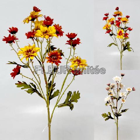 Chryzantema x1 60cm 24/240