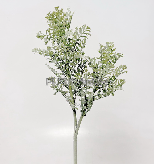 Starček x2 60cm frost 12/120