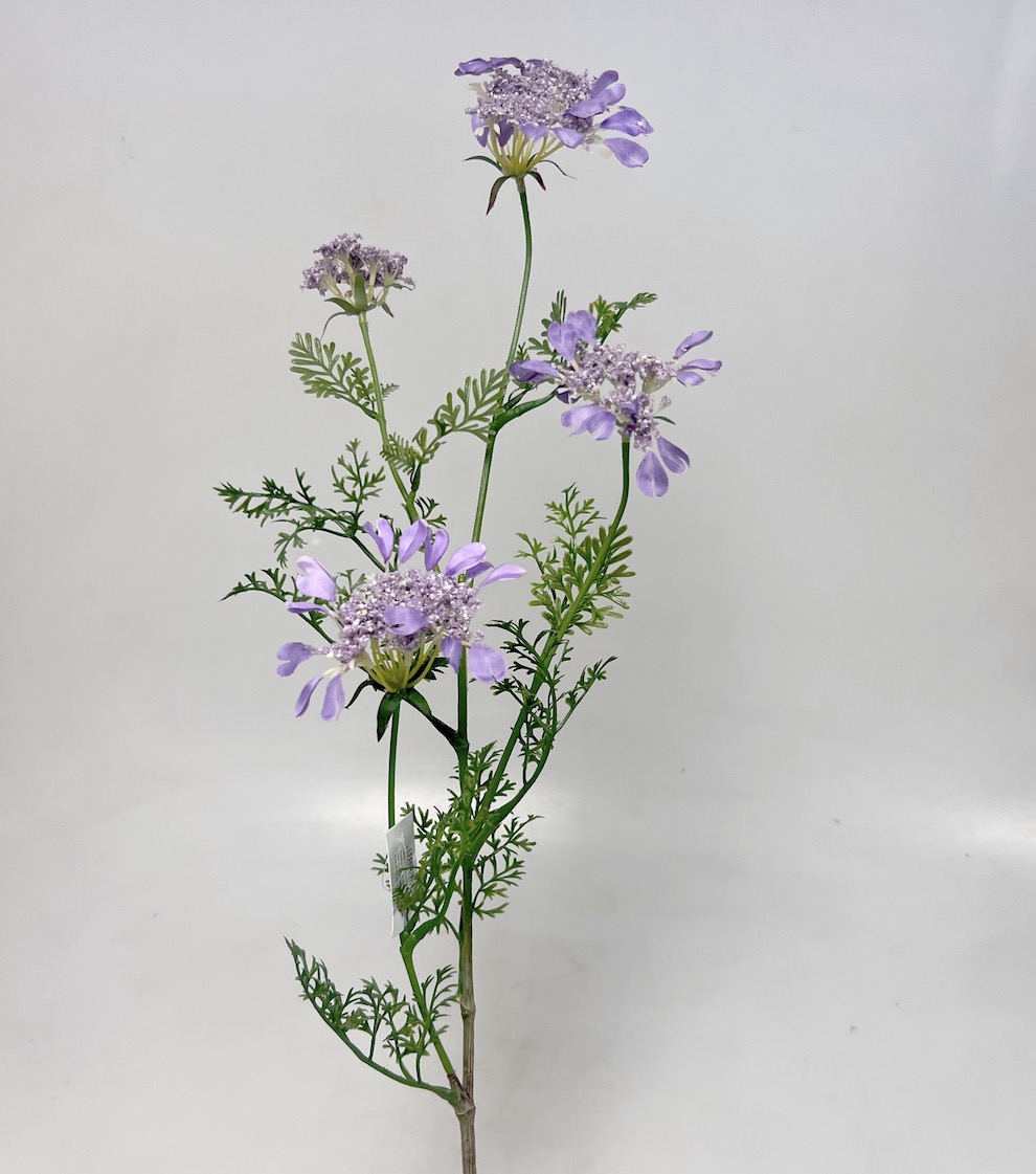 Kopr kvet.x4  95cm 12/96