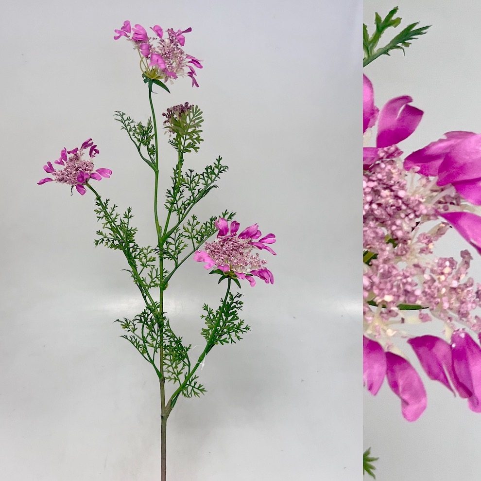 Kopr kvet.x4  95cm 12/96