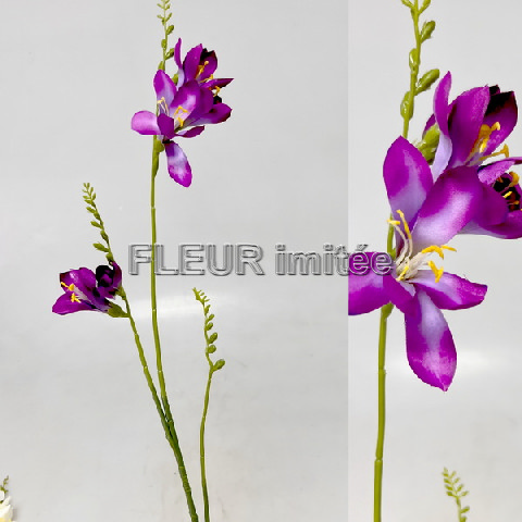 Frezie x3 98cm 36/360