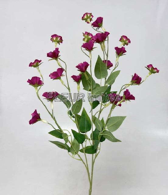 Clematis x4 89cm  18/180