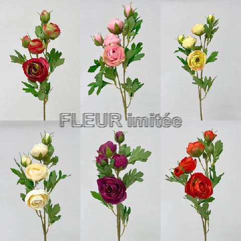 Ranunculus x1 51cm 12/60