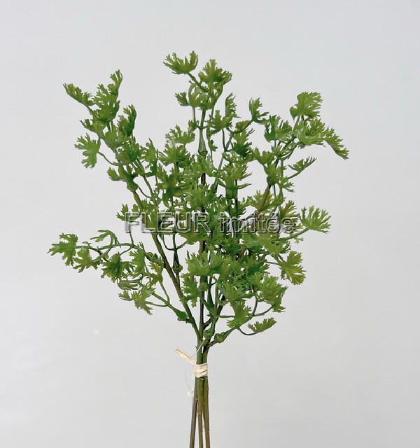 Bylinky x3 20-29cm 36/216