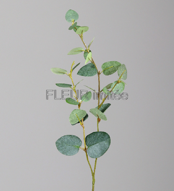 Eukalypt 43cm   48/384