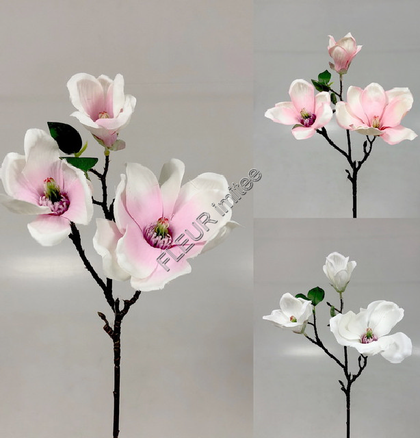 Magnolie x3 36cm 36/216