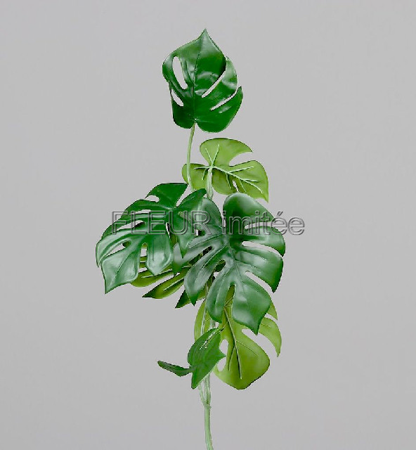 Monstera větev 74cm  18/144