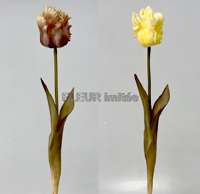 Tulipán PUR 45cm 24/144