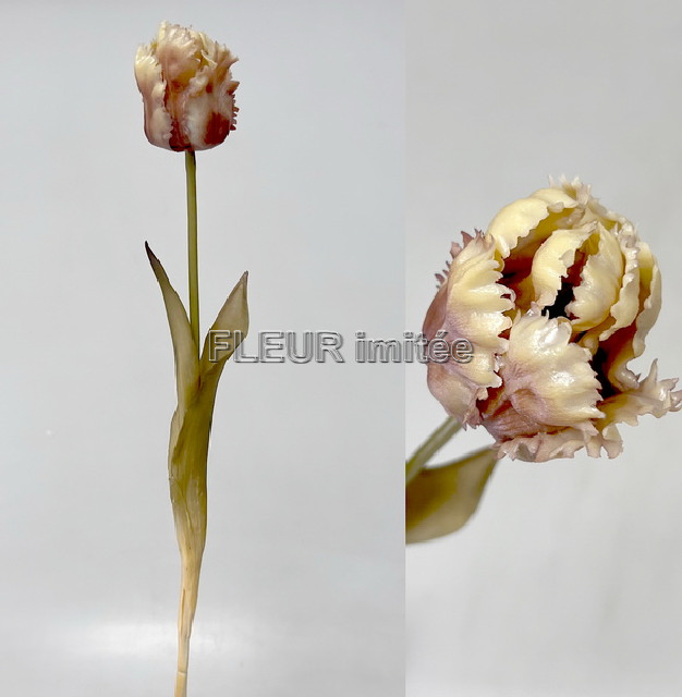 Tulipán PUR 45cm 24/144